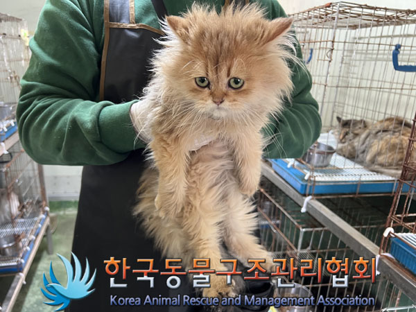 한국동물구조관리협회_411306202300706
